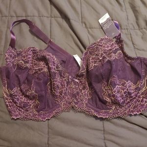 Purple lane bryant sexy bra 46DDD